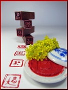 28th Apr 2012 - Chinese Seals