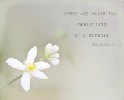 28th Apr 2012 - Possibility