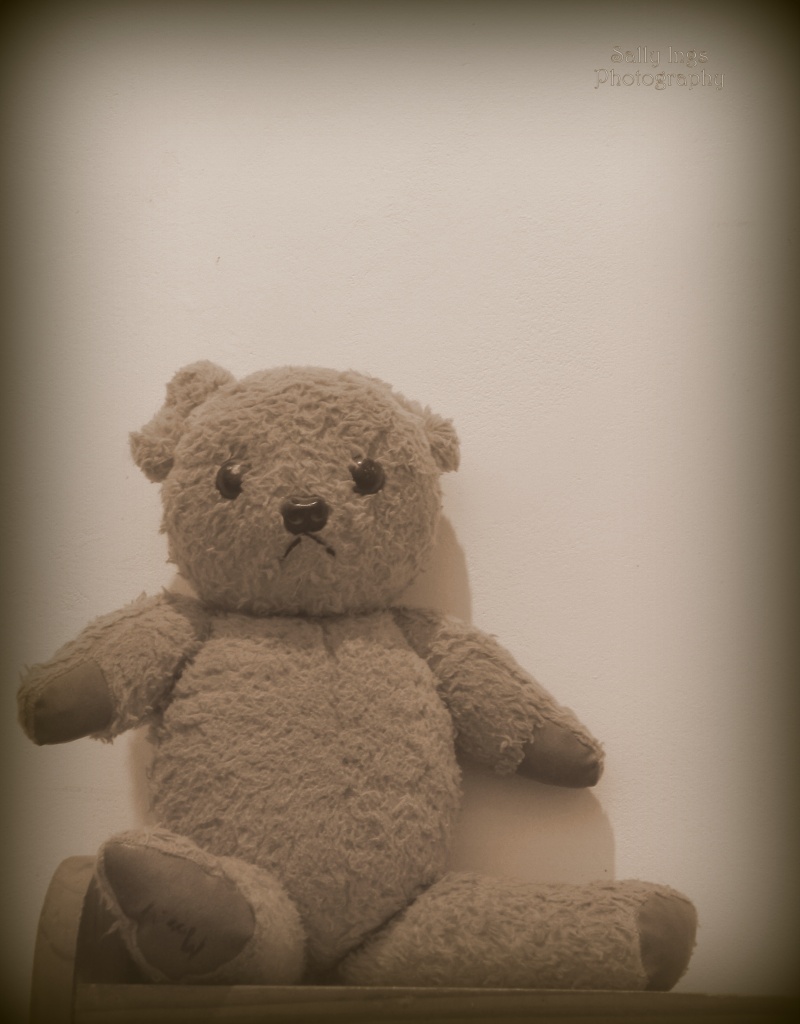 Teddy by salza