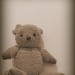Teddy by salza