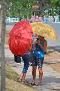 28th Apr 2012 - bunch of umbrellas 