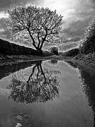 28th Apr 2012 - Puddle and reflections