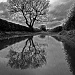 Puddle and reflections by phil_howcroft
