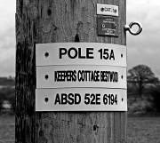 27th Apr 2012 - Power line poles have names too - They are not just numbers !  
