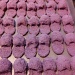 Purple Fuzzy Slippers by photogypsy