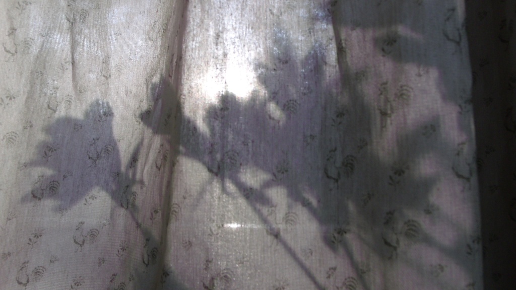 Shadows by lizzybean