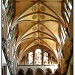 365-117 Ceiling in Salisbury Cathedral by judithdeacon