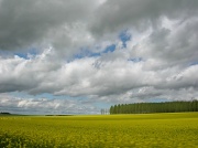 29th Apr 2012 - Landscape from the car #3