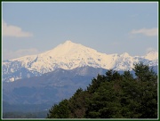 19th Apr 2012 - Japanese Alps 