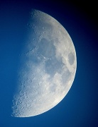 29th Apr 2012 - Blue Moon