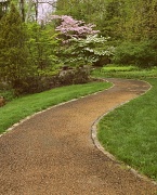 28th Apr 2012 - Inniswood Path