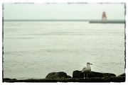 25th Apr 2012 - Postcards from the Seaside