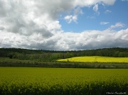 29th Apr 2012 - Landscape from the car #4