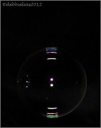 28th Apr 2012 - 28.4.12 Bubble