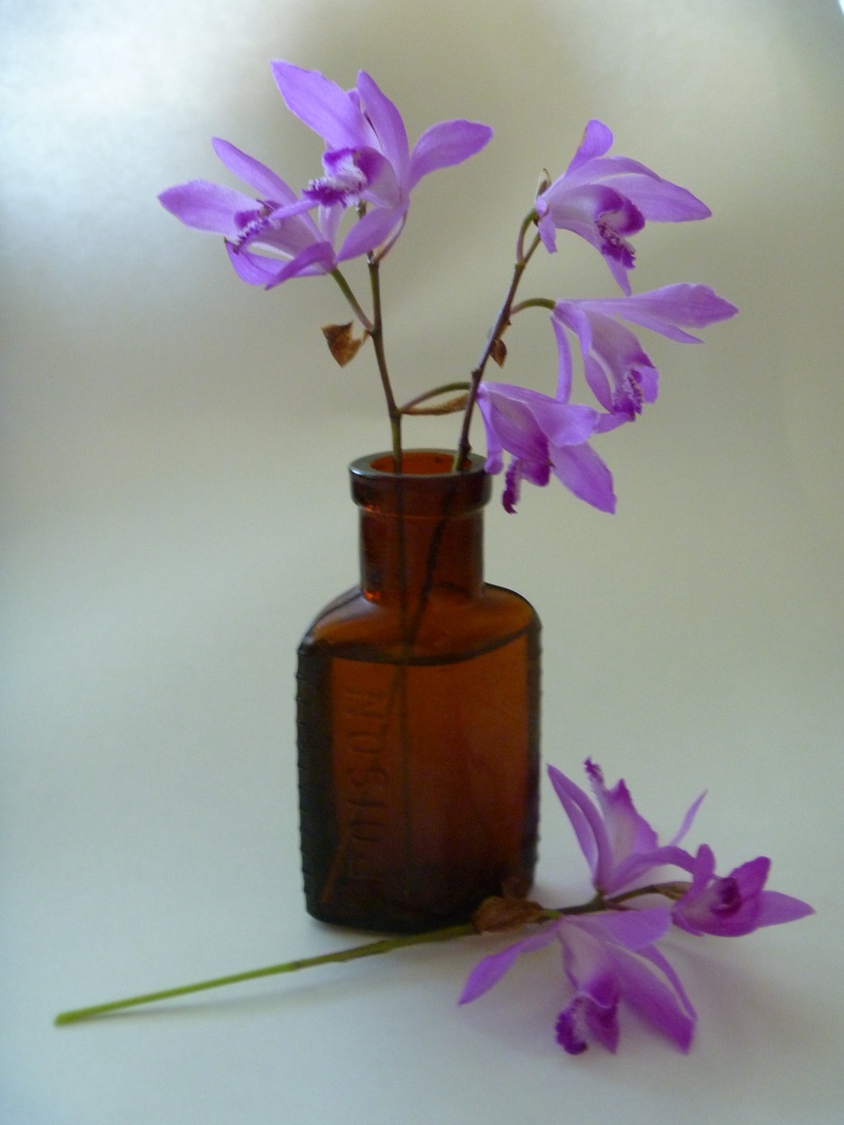 Purple Orchids in Brown Bottle by handmade