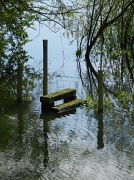30th Apr 2012 - Stile to nowhere (dry!)