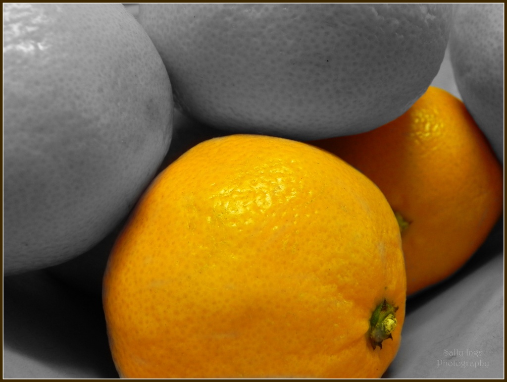 Oranges by salza