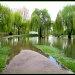Riverside park in flood by busylady