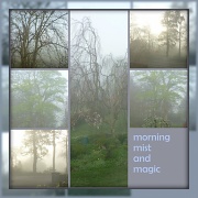 1st May 2012 - morning mist and magic