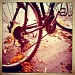 Bike by nicolecampbell