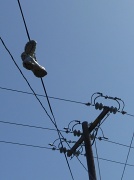 1st May 2012 - Shoes Hanging from Telephone Line