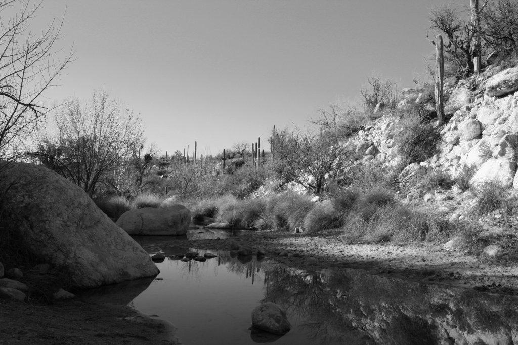 Desert Reflections In Black And White by kerristephens