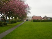 1st May 2012 - Hornscroft Park