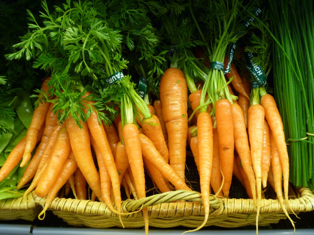 New Carrots in the Market by handmade