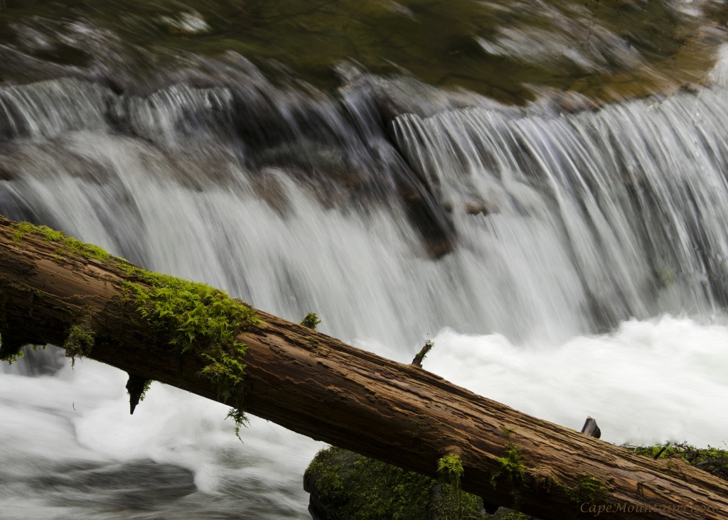 Sweet Creek Falls by jgpittenger