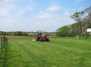2nd May 2012 - One man went to mow, went to mow a meadow !