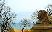 1st May 2012 - Lion View