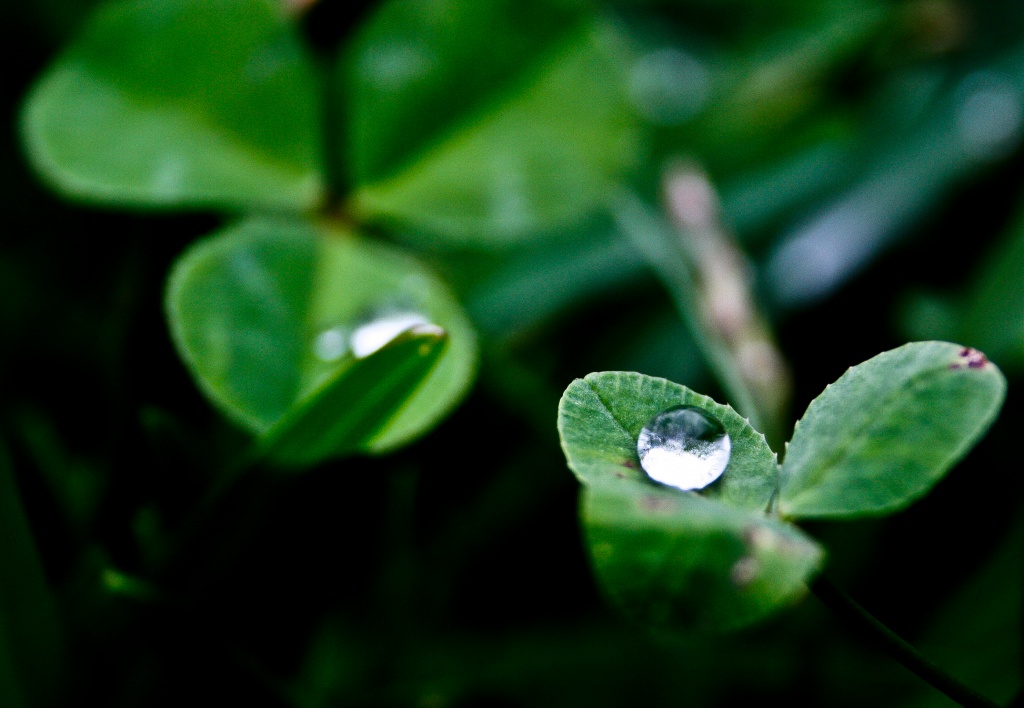 Droplet by abhijit