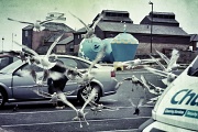 2nd May 2012 - Attack of the seabirds