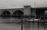 3rd May 2012 - THE Bridge