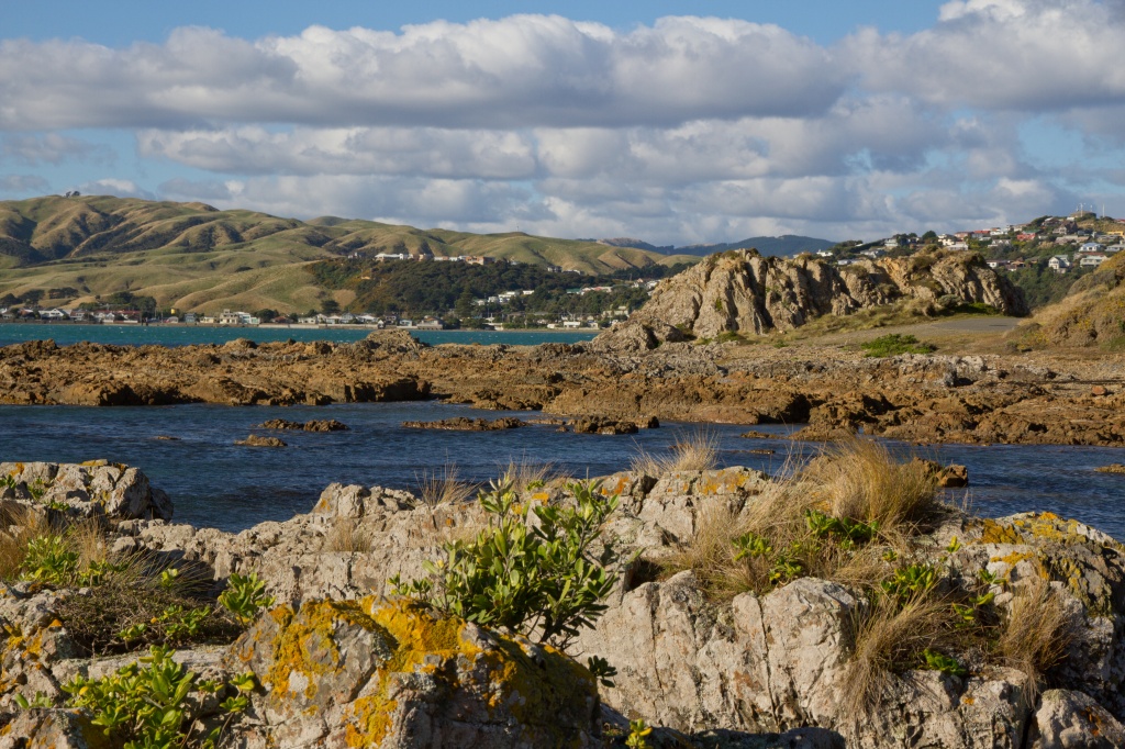 Rocky Harbour by helenw2