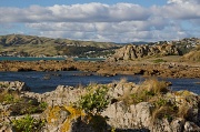 1st May 2012 - Rocky Harbour