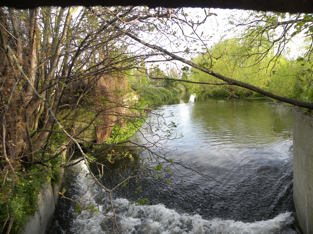 River Wandle - Earlsfield by oldjosh