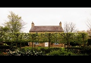 4th May 2012 - The Hedge.