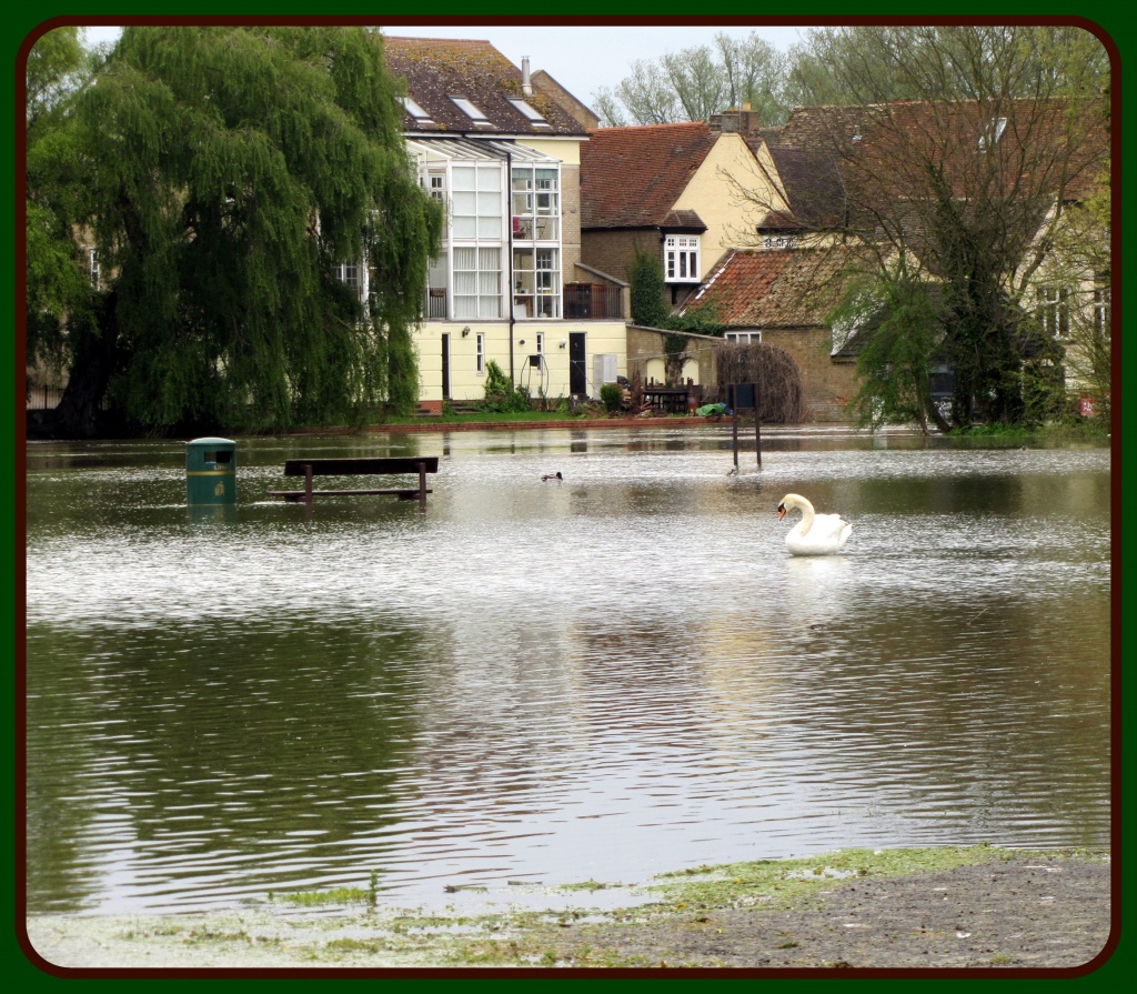 Floods in St Neots by busylady