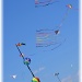 lets go fly a kite by mjmaven