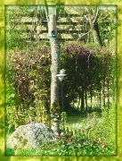 5th May 2012 - little bird feeder