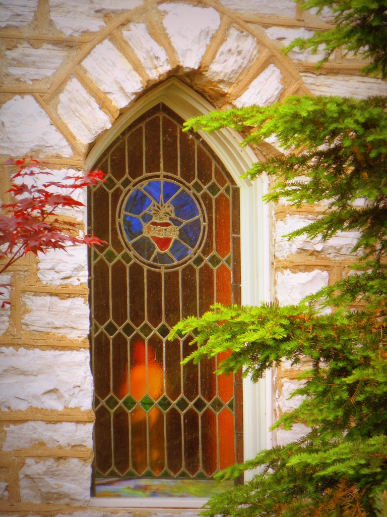 The Church Window by cindymc
