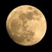 I see the moon . . . by tara11