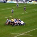Leicester Tigers V Bath Rugby by seanoneill
