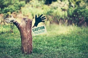 5th May 2012 - Caution
