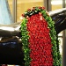 Garland of Roses by lstasel