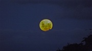 6th May 2012 - I see the moon~