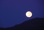 6th May 2012 - Moon Setting