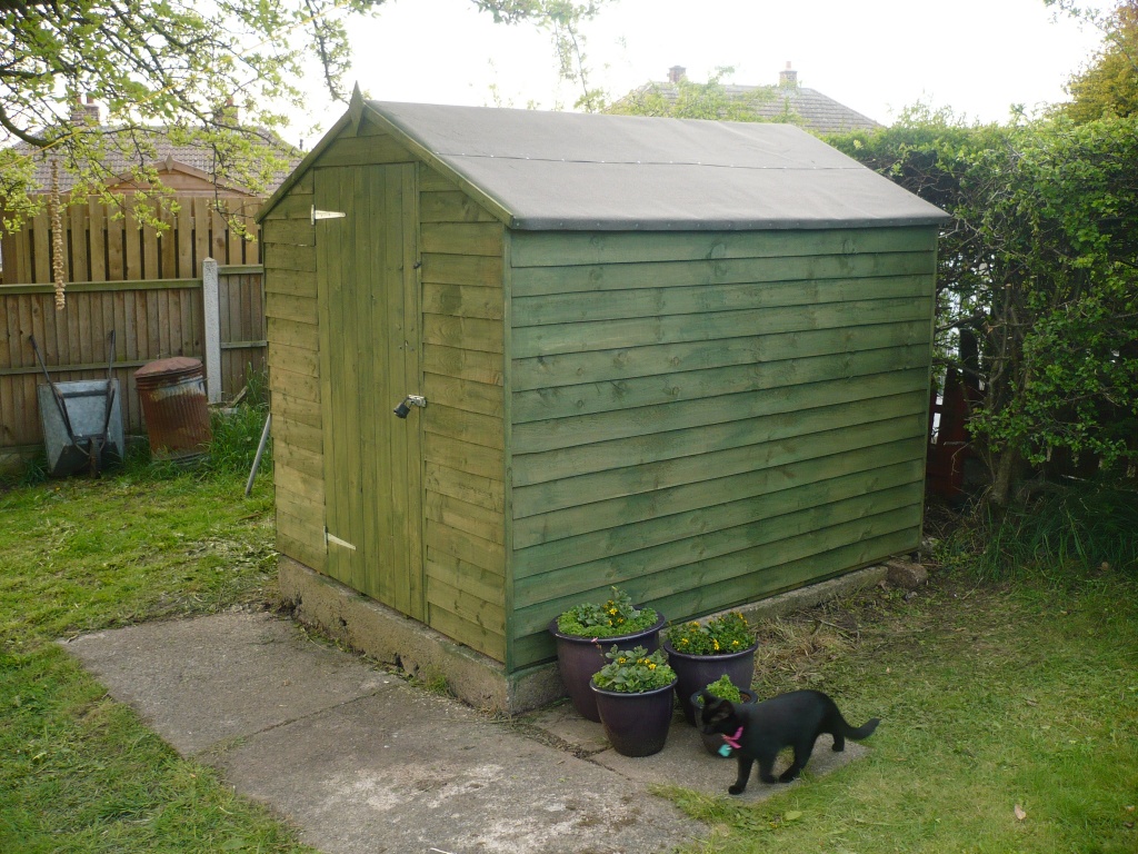 New Shed Finised by clairecrossley
