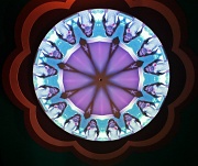 8th Apr 2012 - Through the Eyes of a Jellyfish